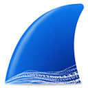 Wiresharkv4.4.6